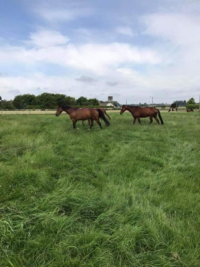 Ferme De La Forterie Verlinghem Esterno foto