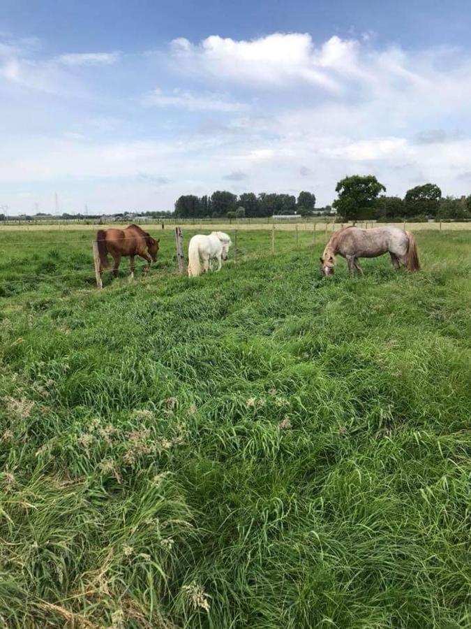 Ferme De La Forterie Verlinghem Esterno foto