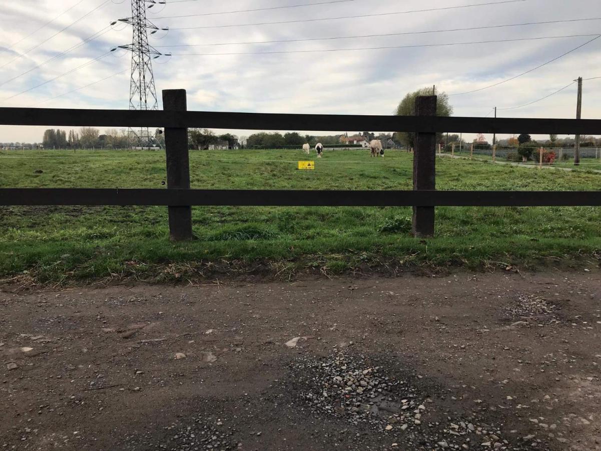 Ferme De La Forterie Verlinghem Esterno foto